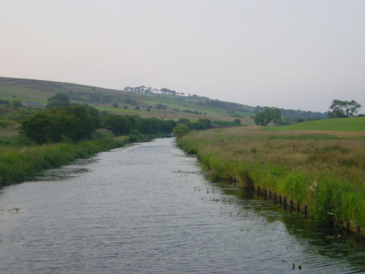 Side Beet Bridge