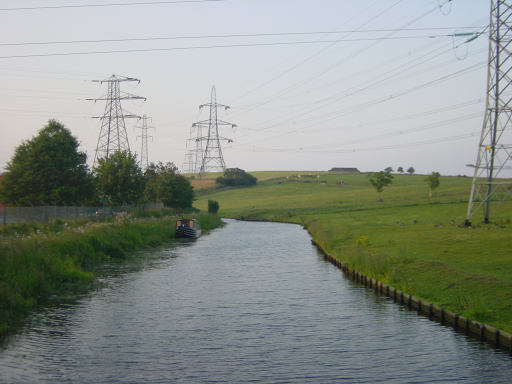 Side Beet Bridge