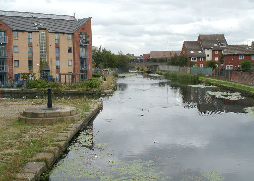 Carolina Street Basin