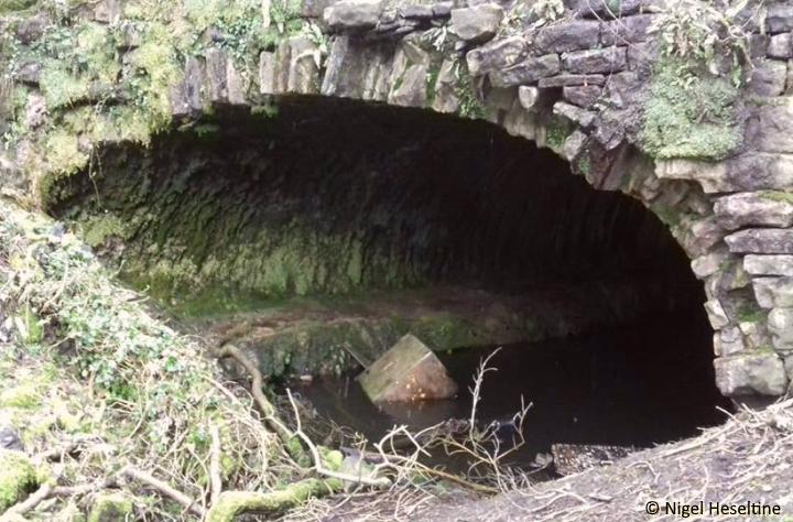 Rain Hall Rock Branch tunnel