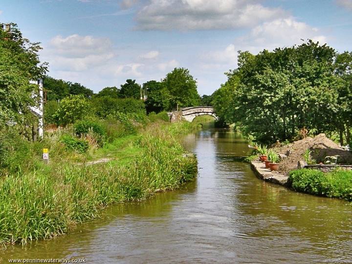 Scholar Green, Macclesfield Canal