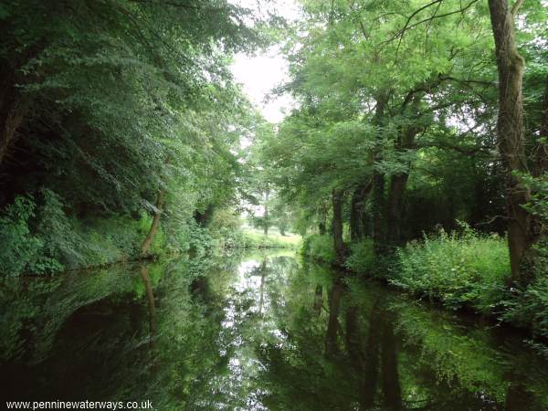 near Nicholson's Bridge, Ripon Canal near Nicholson's Bridge, Ripon Canal