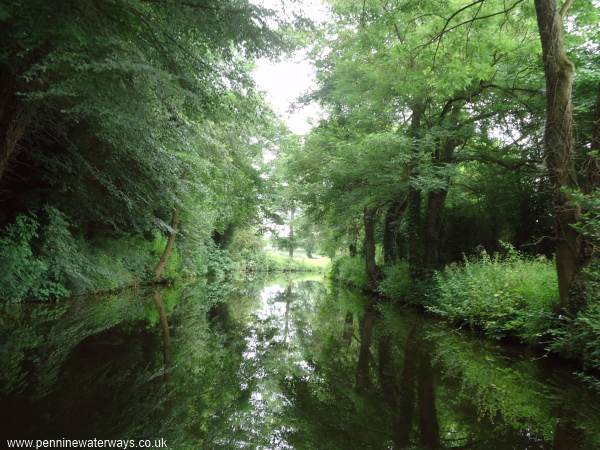 near Nicholson's Bridge, Ripon Canal