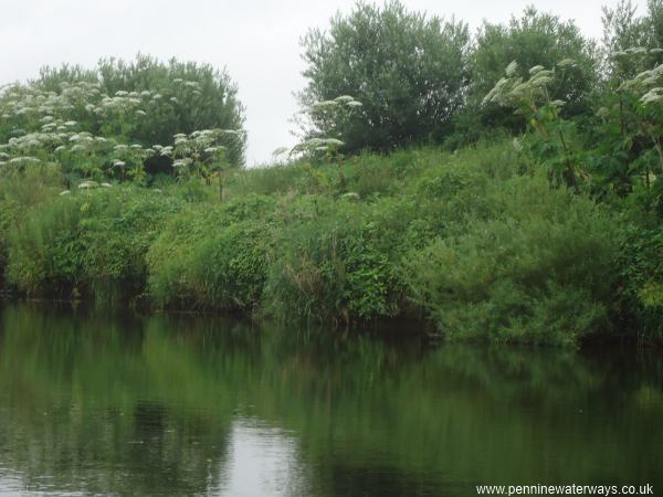 River Ure River Ure