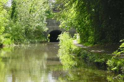 Woodley Tunnel