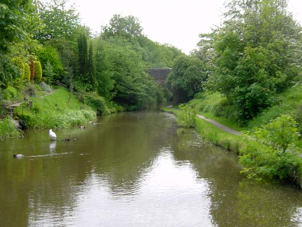Gilbert Bank Bridge