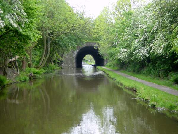 railway bridge near Woodley