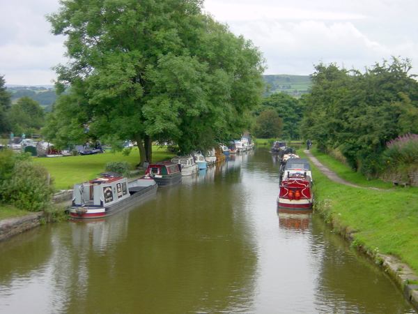 Marple marina