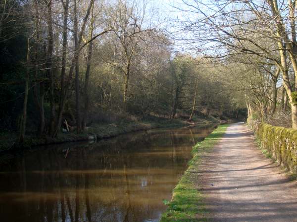 Looking back toward Teapot Row