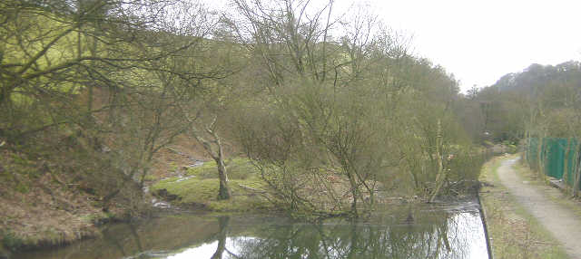 The landslip near Callis Lock. Photo: Pennine Waterways