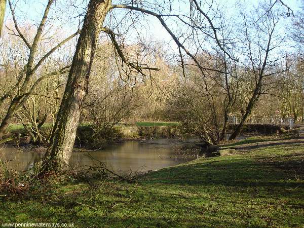 Stanley Basin, Blackbrook Branch, Sankey Canal