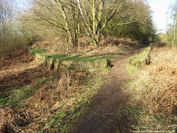 Broad Oak Basin, Sankey Canal