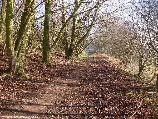 Sankey Canal