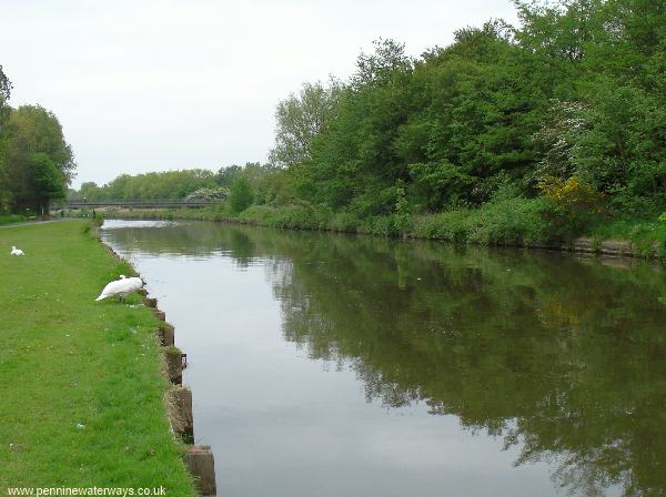 Sankey Canal