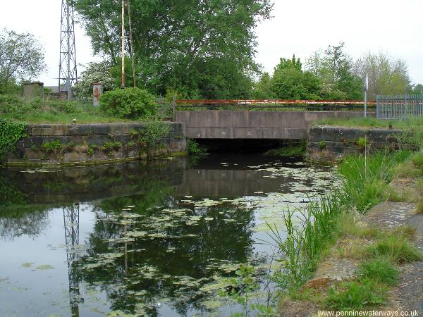 Sankey Bridges