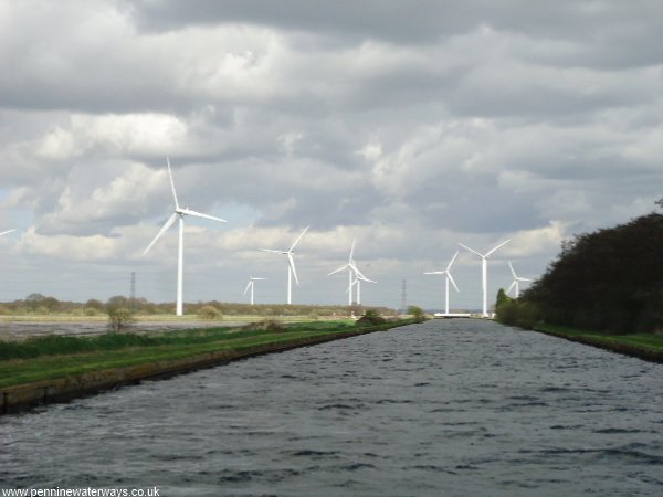 Thorne Moors