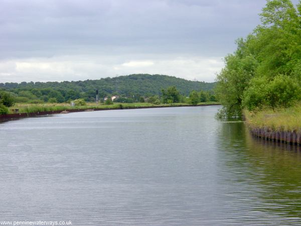 Kilnhurst Cut