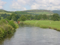 Macclesfield Canal near Lyme Green, computer desktop wallpaper